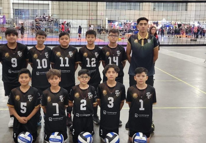 Becerros Voleibol Baja California