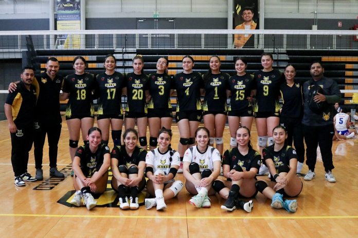 Zorros Cetys Voleibol Femenil